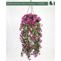 ราคา Pimarn ไม้เลื้อยซายูริปลอม ยาว 70 CM แบบแขวนกระถางใยมะพร้าว สีม่วง (10975791)