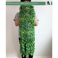 ราคา Pimarn ไม้เลื้อยปลอม พร้อมกระถางติดผนัง ไม่ต้องเจาะผนัง ไม้เลื้อยเขียวเข้ม (10975049)