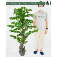 ราคา Pimarn ต้นบอนไซปลอม สูง 1.6 M (10975249)