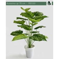 ราคา Pimarn ต้นไม้ปลอมพร้อมกระถาง ต้นไม้มงคล ต้นออมทอง สูง 70 CM กระถางสีขาว หินสีขาว ไม่เพิ่มขาตั้งไม้ (10975383)