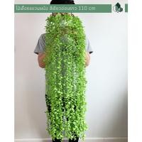 ราคา Pimarn ไม้เลื้อยปลอม พร้อมกระถางติดผนัง ไม่ต้องเจาะผนัง ไม้เลื้อยเขียวอ่อน (10975367)