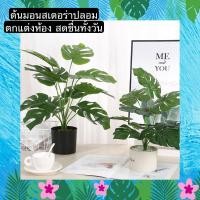 ราคา INTERY ต้นมอนสเตล่าพร้อมกระถางดำ ต้นมอนสเตอร่า มอนสเตอร์ร่าปลอม ต้นไม้ปลอม ARTIFICIAL PLANT TS061J008 TROPACL TS061J008 (10997937)