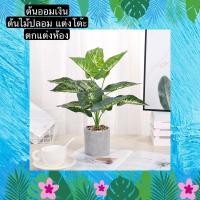 ราคา INTERY TS061J011 TROPACL ต้นไม้ปลอม ต้นออมเงิน ต้นไม้ปลอมสวยๆ ต้นไม้ปลอมโชว์ ARTIFICIAL PLANT ต้นออมเงินปลอม TS061J011 (10997933)