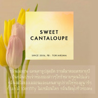 ราคา Tori Aroma ก้านไม้กระจายกลิ่น Extra Ordinary Pretzel 85ml. Sweet Cantaloupe (12230754)