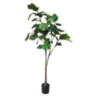 ราคา มาดามขจี ไทรใบสัก 160 ซม. C (12227243)