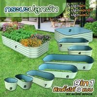 ราคา MoreSpace กระบะปลูกผัก แปลงปลูกผัก Garden Beds ปรับเปลี่ยนได้ 9 แบบ รุ่น M-GB9 ***ส่งฟรี*** (12518226)