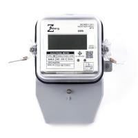 ราคา ZEBERG มิเตอร์ไฟ ดิจิทัล 2 สาย รุ่น 5/45A |EA| (12724180)
