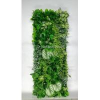 ราคา นาคราช เดคคอร์ สวนแนวตั้ง งานกรอบไม้ สวนแนวตั้งบนหญ้าเทียมตีนเป็ด ขนาด 40x100 cm. W-004 (12158518)