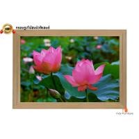 ราคา INDY FURNISH กรอบรูปไม้สนนิวซีแลนด์ใหญ่ พร้อมรูปภาพมงคล วิวดอกบัว 56x81 cm. Modern (10206131)
