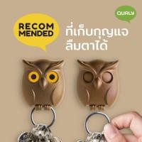 ราคา Qualy (ควอลี่) Night Owl Key Holder ที่แขวนพวงกุญแจ ดีไซน์ นกฮูก ที่เก็บกุญแจ ติดผนัง Brown (12273745)