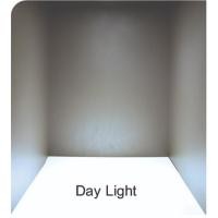 ราคา Philips รางนีออน LED รุ่น BN015 8w และ 18w แสงขาว ชุดไฟสำเร็จ ของแท้ ประกันศูนย์ 8w 60cm. (12641558)