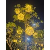 ราคา บ้านรักษ์สาน โคมไฟ โคมไฟลูกบอลหวายแท้ ขนาด 6 8 10 นิ้ว ขนาดกลาง 6 นิ้ว (12738311)