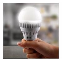 ราคา IWACHI หลอด EMERGENCY ขั้ว E27 (9 - 12 วัตต์) Daylight 9 วัตต์ (12749550)