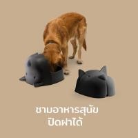 ราคา Qualy (ควอลี่) Mr.Dog Pet Feeder ถาดใส่อาหารสำหรับสุนัชและแมว ดีไซน์ สุนัช จานอาหารของสัตว์เลี้ยง normal (12275394)
