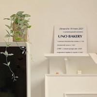 ราคา callingbrown ต้นไม้ปลอม ต้นไม้แต่งบ้าน พืชประดิษฐ์ ไม้เลื้อย ไม้เลื้อย (12238161)