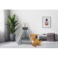 ราคา Luvora Tentpet02 เต็นท์สัตว์เลี้ยงทรงห้าเหลี่ยมพร้อมเบาะและป้ายชื่อ ตัวเต็นท์ทำจากผ้าอย่างดี ลายสวย (12751926)