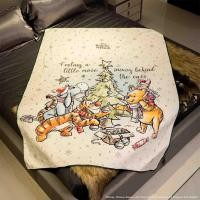 ราคา disney home ผ้าห่ม disney รุ่น pooh&f สีเบจ (177x130x1 cm.) (12398018)