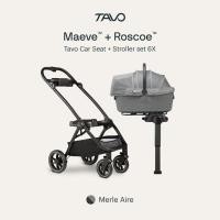 ราคา TAVO ตระกร้าคาร์ซีท+รถเข็นน้องหมา รถเข็นสุนัขสัตว์เลี้ยงแสนรัก นำเข้าจากประเทศเนเธอร์แลนด์แบร์นดเดียวกับ NUNA FG-TVSET6XMERAIREBLK (12687804)