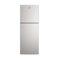 ราคา ELECTROLUX ตู้เย็น 2 ประตู 8 คิว รุ่น ETB2502J-A สีเงิน New (12031733)