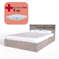 ราคา Koncept Furniture เตียงนอน ขนาด 5 ฟุต รุ่น Haley สีไม้อ่อน พร้อม ที่นอน แบรนด์ KONCEPT FURNITURE (12038693)
