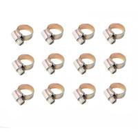 ราคา orbit เข็มขัดรัดสายยางนำแก๊ส 12 ชิ้น (ทองเหลือง) (12323072)