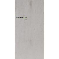 ราคา แผ่นคอนกรีตสำเร็จรูป CW-101 NATURAL GREY แบรนด์ คอนครีเอต (12755543)
