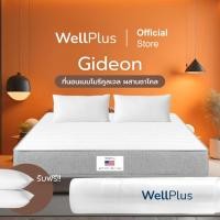 ราคา Wellplus อัดสุญญากาศ ที่นอนเมมโมรี่คูลเจล ผสมชาโคล รุ่น Gideon หนา 6 นิ้ว แถมฟรีหมอนหนุน 6ft.+หมอนหนุน 2ใบ Gideon [อัดสุญญากาศ] (12349095)