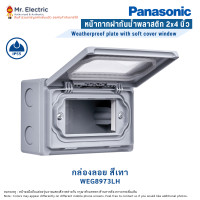 ราคา Panasonic หน้ากาก ฝากันน้ำ พร้อมหน้าต่างพลาสติกใส 2x4 นิ้ว พานาโซนิค กล่องติดลอย สีเทา (10709333)