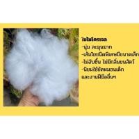 ราคา ใยสังเคราะห์ ใยขนห่านเทียม ใยไมโครเจล ใยบอล (100-500กรัม) ใยไมโครเจล 1000 g (12263486)