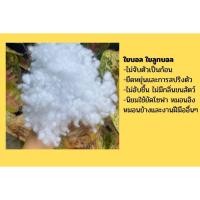 ราคา ใยสังเคราะห์ ใยขนห่านเทียม ใยไมโครเจล ใยบอล (100-500กรัม) ใยบอล 1000 g (12263492)