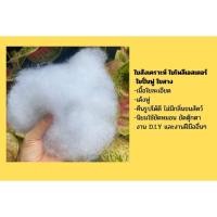 ราคา ใยสังเคราะห์ ใยขนห่านเทียม ใยไมโครเจล ใยบอล (100-500กรัม) ใยสังเคราะห์เกรดA 1000 g (12263474)