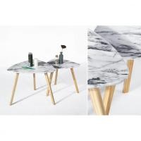 ราคา โกลบอลเฮ้าส์ Delicato ชุดโต๊ะกาแฟลายหินอ่อน 60x60x45ซม. และ 50x50x42 ซม. Enamel หินอ่อน (10216570)