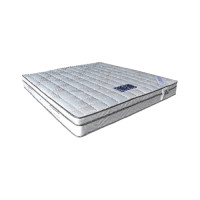 ราคา โกลบอลเฮ้าส์ ที่นอนสปริง Sera Oliver สีขาว ที่นอนสปริง 6 (10219252)