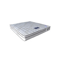 ราคา โกลบอลเฮ้าส์ Sera ที่นอนสปริง Sera Oliver สีขาว สปริง 5 (10219011)