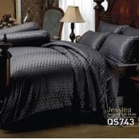 ราคา JESSICA ผ้านวม Jacquard Silk Shine 500 เส้นด้าย ลาย QS736 (ผ้านวมบุใย) 90x100 นิ้ว สีดำ สีดำ สีดำ (10467990)