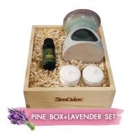 ราคา SenOdos Gift Set ชุดของขวัญ กล่องไม้สน เตาเผาศิลาดล+น้ำมันหอมระเหยแท้ ลาเวนเดอร์ 10 ml แถมฟรีเทียนไขถั่วเหลือง 15g2ชิ้น กลิ่นลาเวนเดอร์ 10 ml (10435310)