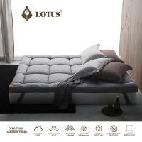 ราคา Lotus ที่นอนนาโน คลาวด์ไฟเบอร์ รุ่น Ayame Cloud-Light Gray หนา 4 นิ้ว ส่งฟรี 3 ฟุต หนา 4 นิ้ว (10680231)