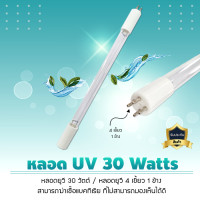 ราคา หลอดยูวี UV TUV 30 Watts 4/1 4 เขี้ยว 1 ข้าง TUV885MMT5 หลอดยูวี UV TUV 30 Watts 4/1 (4 เขี้ยว 1 ข้าง) TUV885MMT5 (10826303)