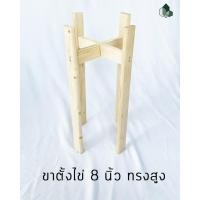 ราคา Pimarn ขาตั้งกระถางต้นไม้ ทำจากไม้สนนอก ขนาด 6.5 นิ้ว และ 8 นิ้ว ขาตั้งไข่ 8" ทรงสูง (10974574)