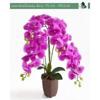 ราคา Pimarn ดอกไม้ปลอม ดอกกล้วยไม้ปลอม สีม่วง สูง 70 CM กระถางน้ำตาลอ่อน (10972886)