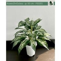 ราคา Pimarn ต้นไม้ปลอม ต้นเพชรน้ำหนึ่งปลอม สูง 50 CM แถมฟรีกระถางสีขาว ต้นไม้พร้อมกระถางขาว หินขาว (10975313)