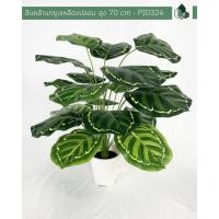 ราคา Pimarn ต้นคล้านกยูงเหลืองปลอม สูง 70 CM พร้อมกระถางขาว ไม่ต้องการหิน ไม่เพิ่มขาตั้งไม้ (10975389)