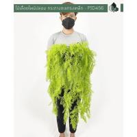 ราคา Pimarn ไม้เลื้อยไพน์ญี่ปุ่นเขียวปลอม กระถางตะแกรงเหล็ก (10975177)