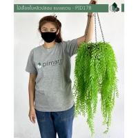 ราคา Pimarn ไม้เลื้อยปลอม ใบหลิวปลอม 70 CM พร้อมกระถางแขวนใยมะพร้าว ใบหลิวสีเขียว (10975417)