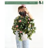 ราคา Pimarn ไม้เลื้อยกุหลาบปลอม แบบแขวนกระถางใยมะพร้าว ดอกชมพู (10975053)