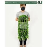 ราคา Pimarn ไม้เลื้อยเขียวเข้มปลอม กระถางตะแกรงเหล็ก Size (10975428)