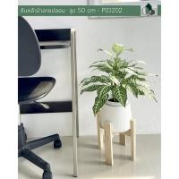 ราคา Pimarn ต้นไม้ปลอม ต้นเพชรน้ำหนึ่งปลอม สูง 50 CM แถมฟรีกระถางสีขาว ต้นไม้+เบลล่าขาตั้ง8 หินขาว (10975310)