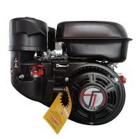 ราคา TAZAWA Black เครื่องยนต์เบนซิน รุ่น TAZ170F-2 ขนาด 7.0 HP (12378337)