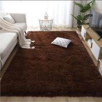 ราคา Homelove พรมขนนุ่ม พรมปูพื้น ผ้าปูพื้น พรม พรมห้องนอน พร้อมห้องรับแขก [20 สี] สีพื้น - น้ำตาลเข้ม M : 120cmx80cm (12447304)