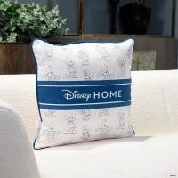ราคา Disney Home หมอนอิง DISNEY รุ่น MICKEY/01 สีครีม (45x15x45 cm.) แบรนด์ DISNEYHOME (12544882)